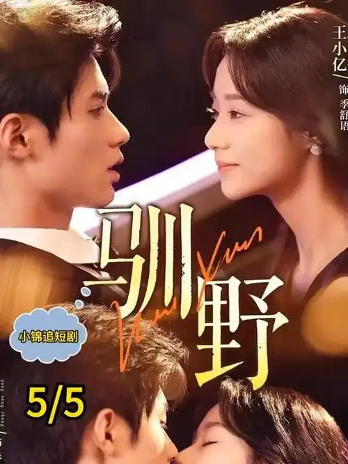回声档案剧集